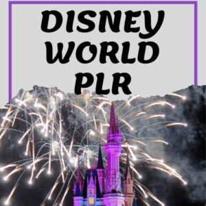 Walt Disney World PLR #plr #waltdisneyworld #florida