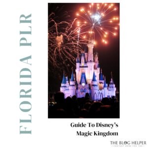 Guide To The Magic Kingdom