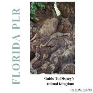 Guide To Animal Kingdom