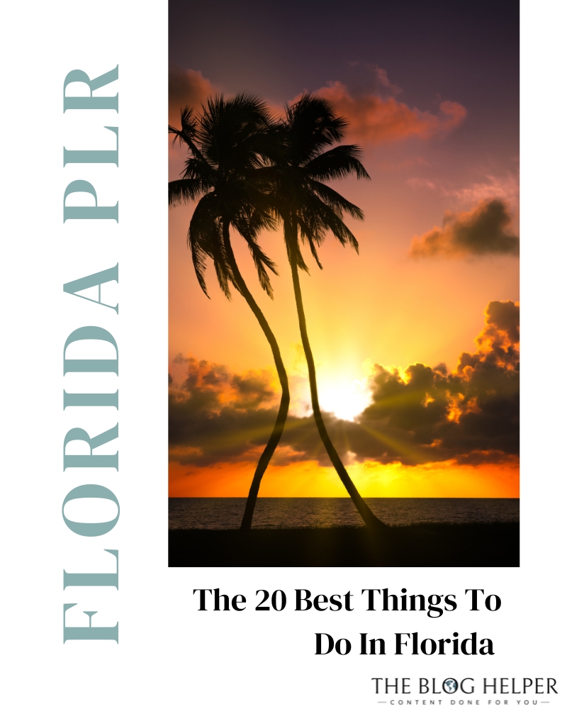 The 20 Best Things To Do In Florida