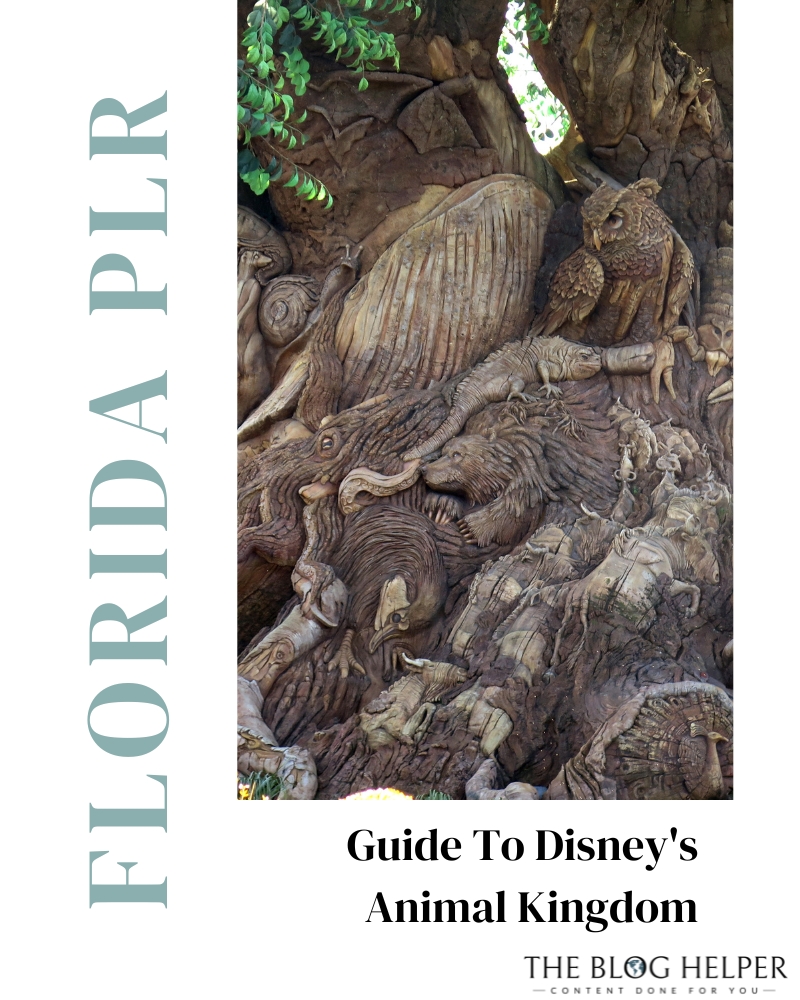 Guide To Animal Kingdom