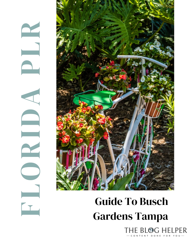 Guide To Busch Gardens Tampa