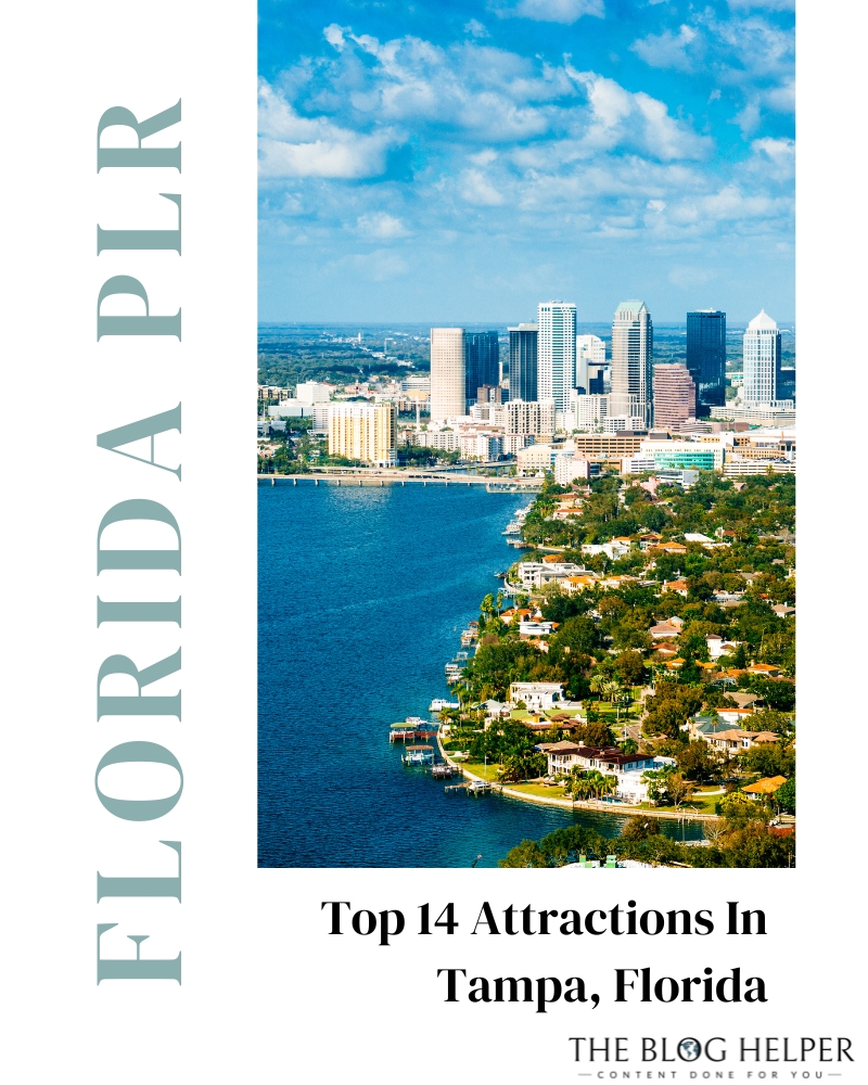 Top 14 Attractions In Tampa